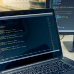 software consulting services