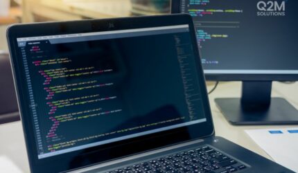 software consulting services